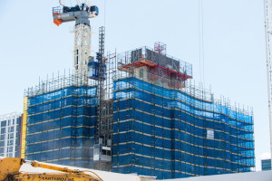 20141217_AJP__AZA0557